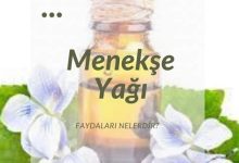 Menekşe Yağı Bilimsel Faydaları ve Kullanımı