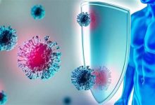 Bağışıklık Sistemi Nedir, Nasıl Güçlendirilir?