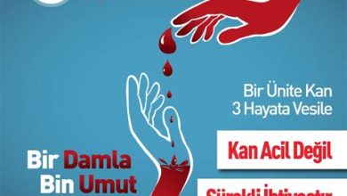 Kan Bağışı Yapmanın Önemi: Bir Damla Kan Bin Damla Umut