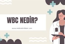 WBC Yüksekliği Ne Anlama Gelir?