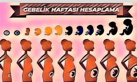 Anne Olmak: Sürecin İlk Haftaları